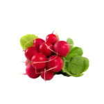 Редис свежий, пучок, Казахстан